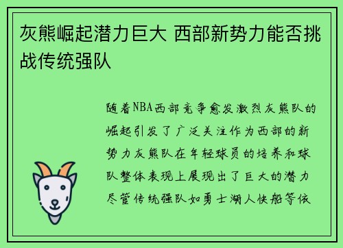 灰熊崛起潜力巨大 西部新势力能否挑战传统强队